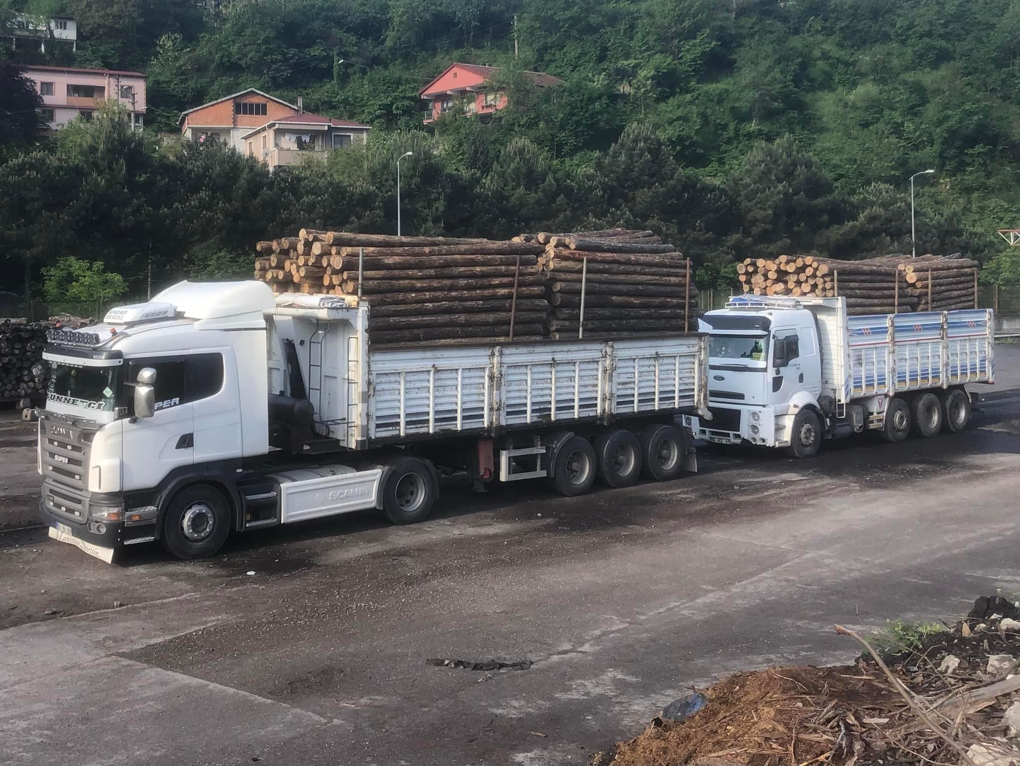 Şanver Orman Ürünleri ve Nakliye